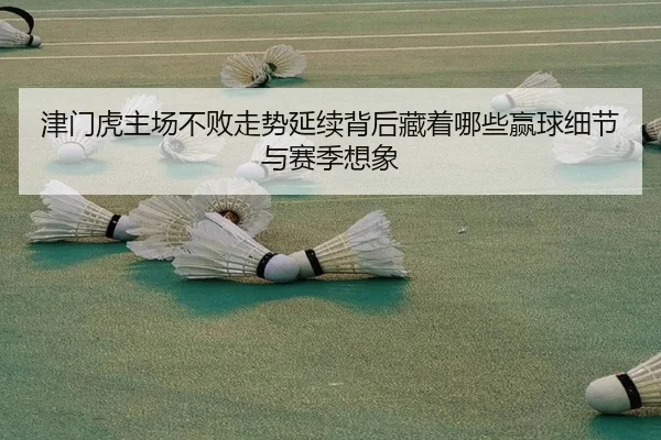 津门虎主场不败走势延续背后藏着哪些赢球细节与赛季想象